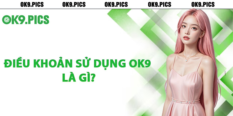 Điều khoản sử dụng Ok9 là gì?