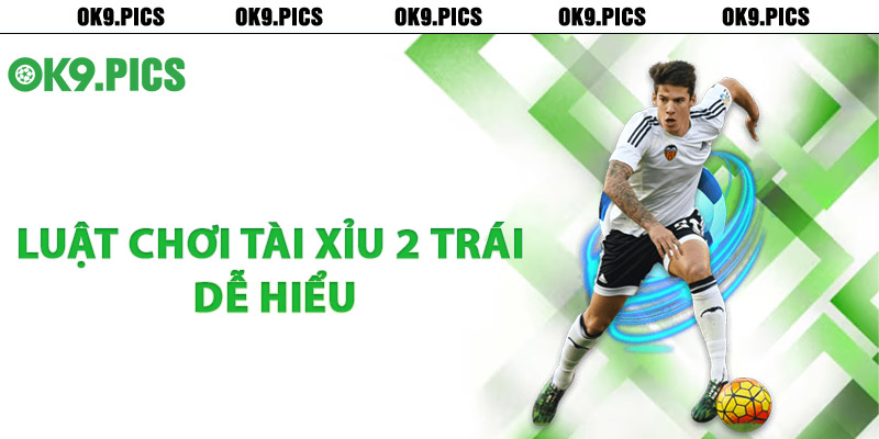 Luật chơi tài xỉu 2 trái dễ hiểu